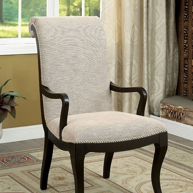 Furniture of America® Ornette 2-Piece Arm Chair Set 2