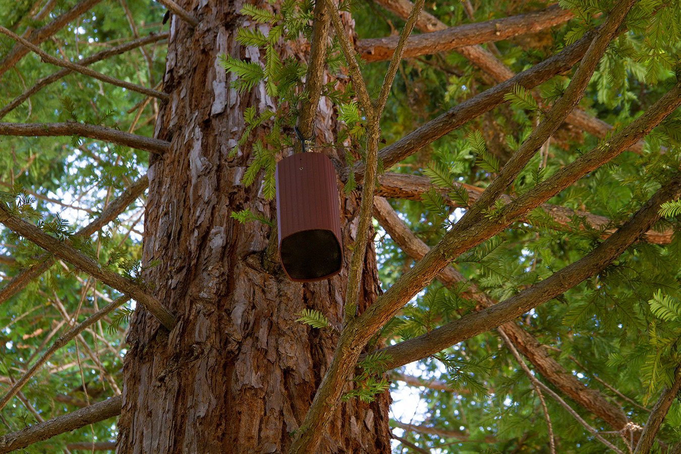 outdoor tree speakers