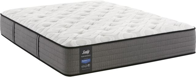 sealy hidden lake plush tight top king mattress