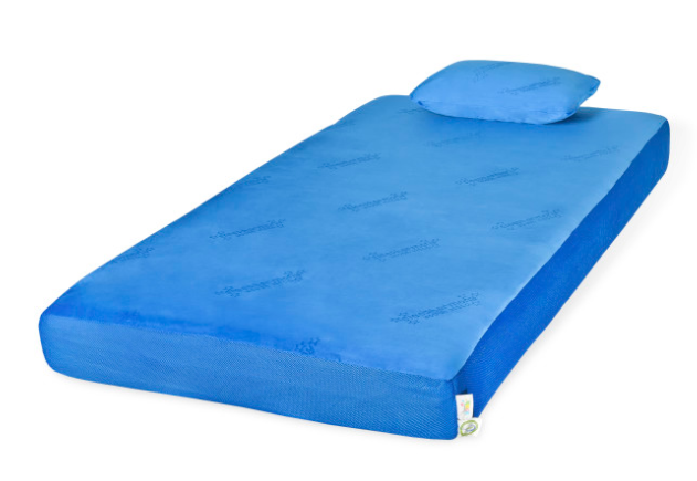Glideaway® Sleepharmony® Jubilee Youth Blue Memory Foam Full Mattress 1