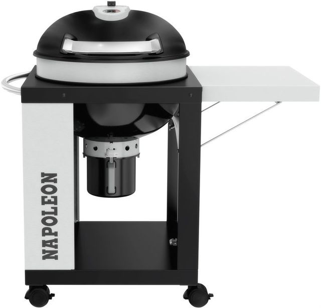 Napoleon® Rodeo Professional Free Standing Charcoal Grill-Black