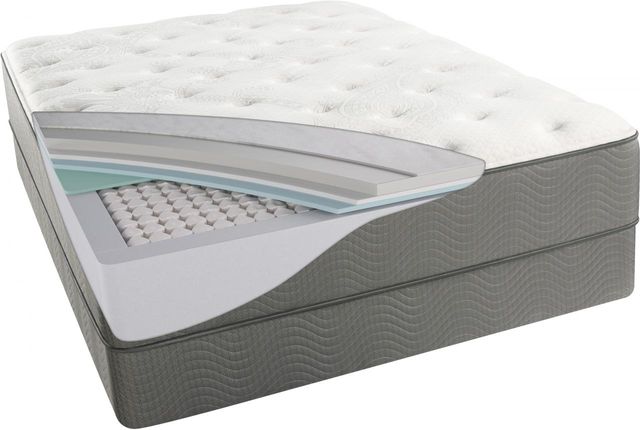 BeautySleep® Sawyer Luxury Firm Mattress-Queen-Sawyer-Q ...