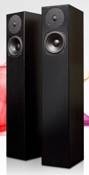 Totem Acoustics High-Fidelity Floor Standing Speaker