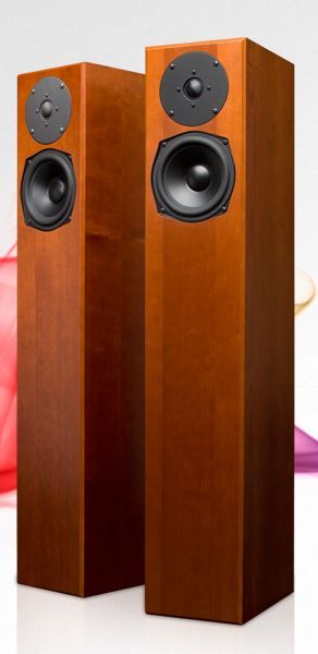 Totem Acoustics High-Fidelity Floor Standing Speaker 2