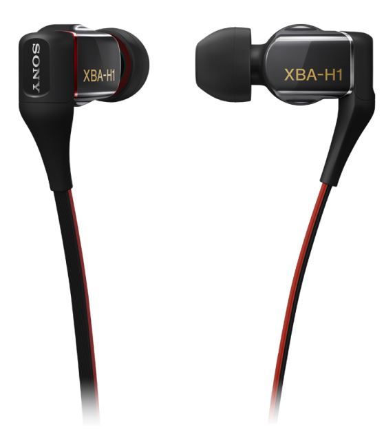 Sony Hybrid 2-Way In-Ear Headphones-Black