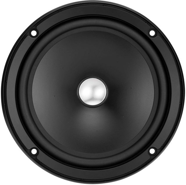JL Audio® 6.5" Component Woofer 2