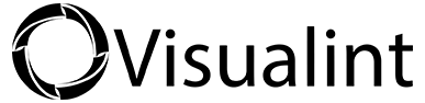 Visualint logo