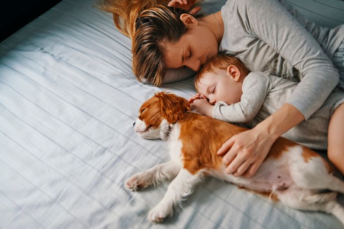 A woman cuddles with her baby and a King Charles spaniel on a large bed.