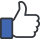 Facebook Thumb Icon