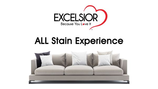 All Stain Experience with Motor & DUDL
