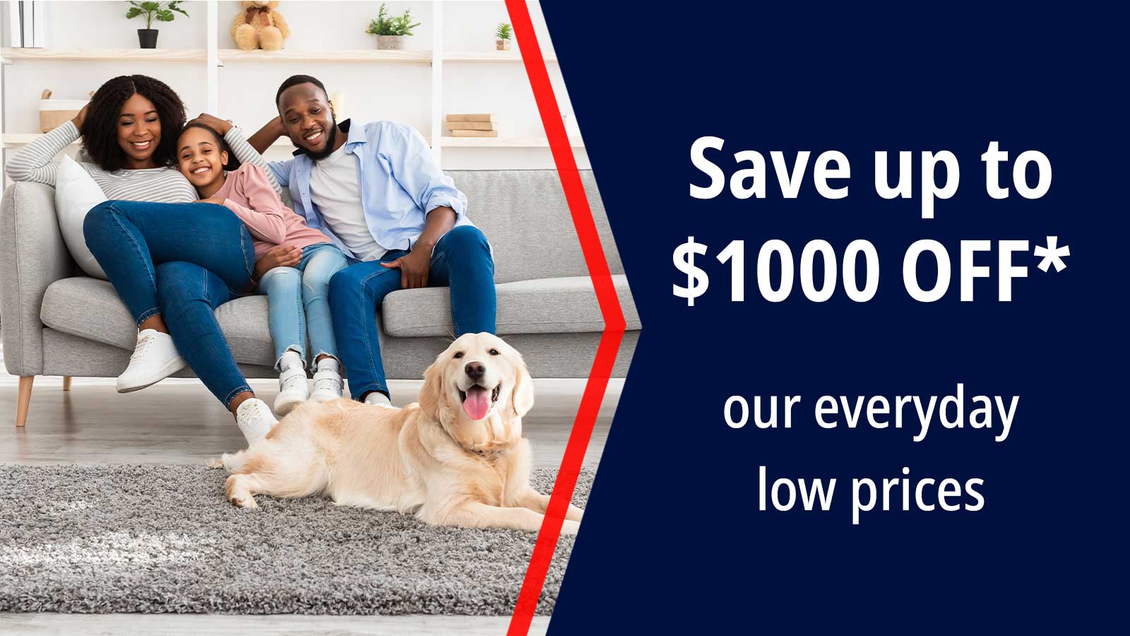 Save up to 1000 Dollars