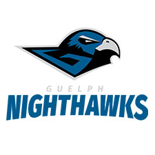 Nighthawks Logo