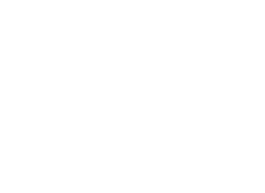 40 plus brands to choose from