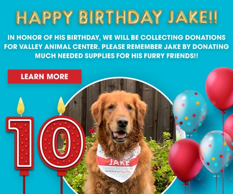 Happy Birthday Jake!! In honor of his birthday, we will be collecting donations for Valley Animal Center. Please remember Jake by donating much needed supplies for his furry friends!! - Learn More