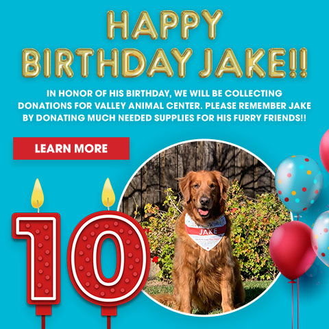 Happy Birthday Jake!! In honor of his birthday, we will be collecting donations for Valley Animal Center. Please remember Jake by donating much needed supplies for his furry friends!! - Learn More